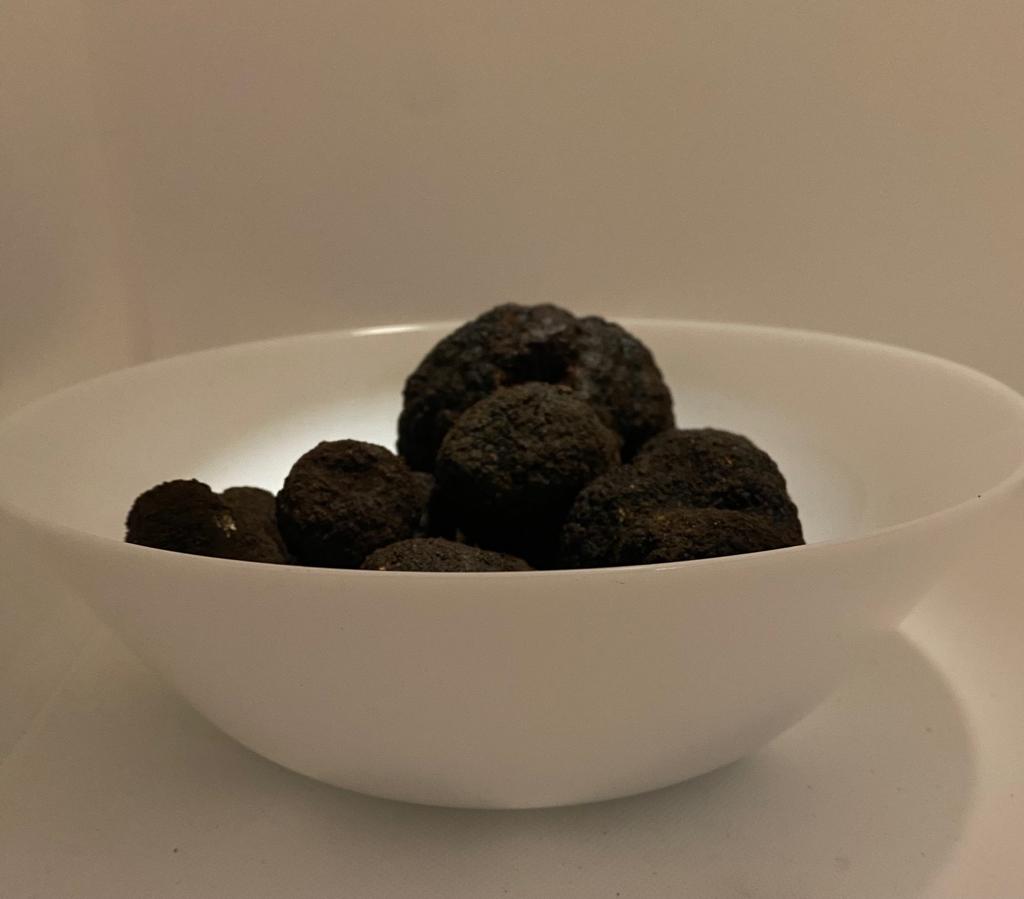 Black truffle from Bagnoli Irpino - mesentericum
